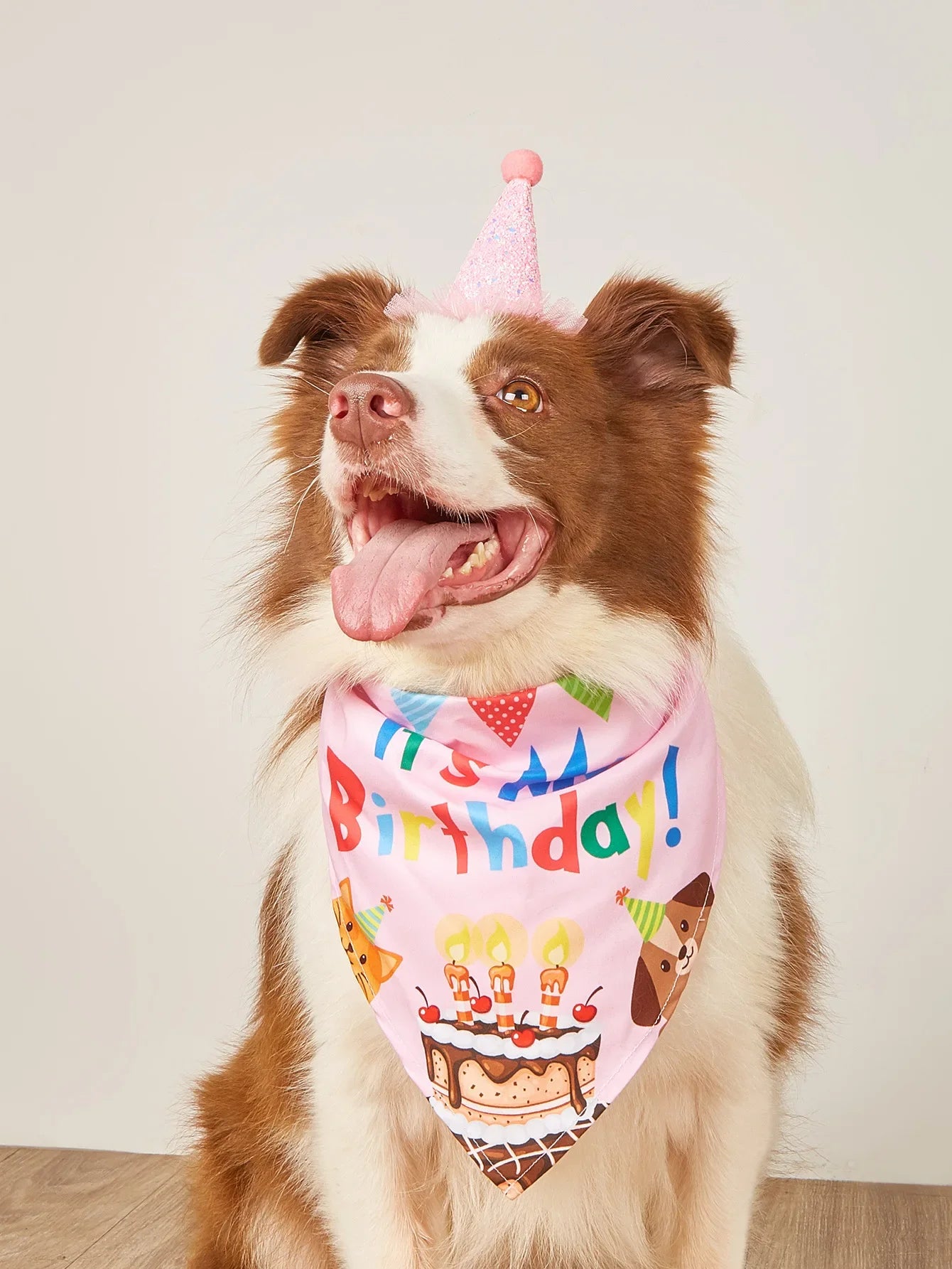 Dog birthday decorations, dog costumes, hats, bow ties, scarves, belly bands, party