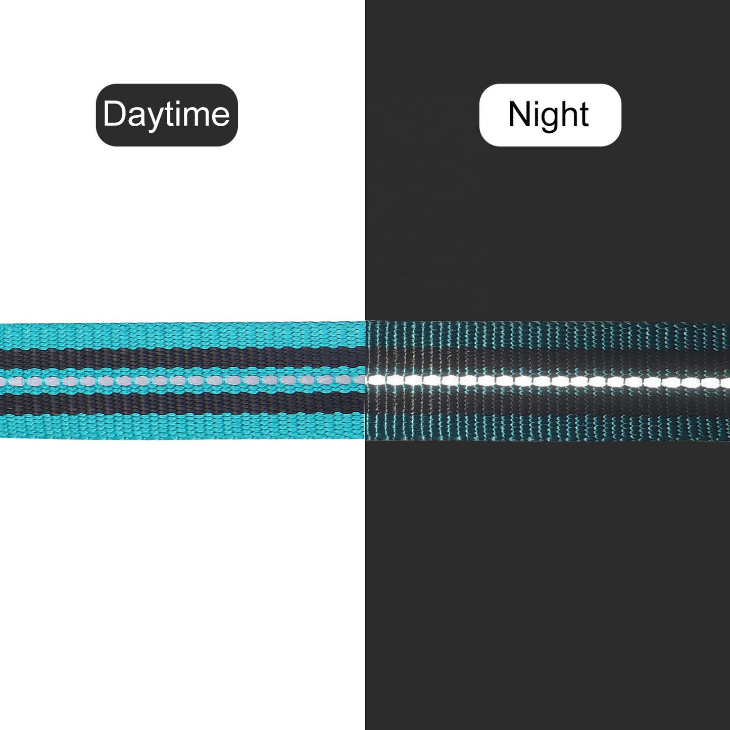 Thickened dog leash with double thickened handles and built-in poop bag dispenser