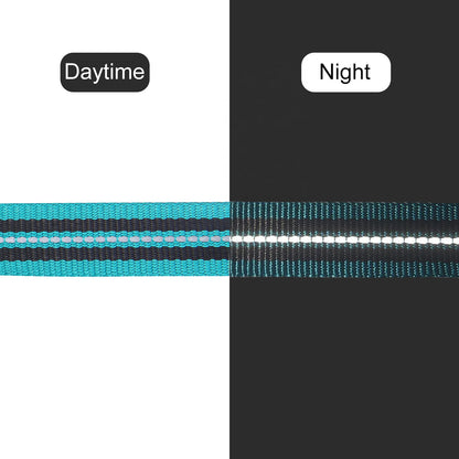 Thickened dog leash with double thickened handles and built-in poop bag dispenser