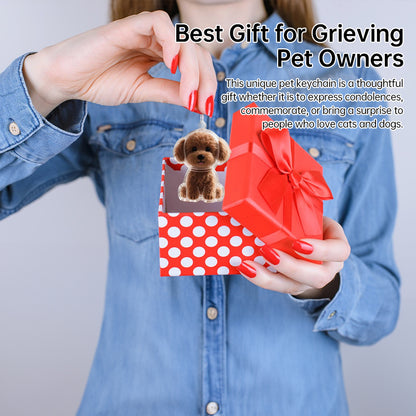 A transparent DIY pet hair memorial keychain box, a sweet keepsake for dog lovers.