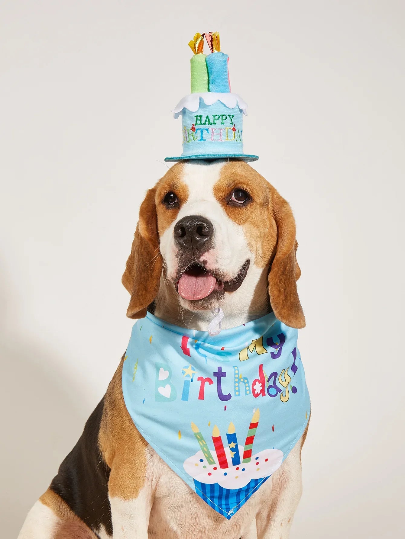Dog birthday decorations, dog costumes, hats, bow ties, scarves, belly bands, party