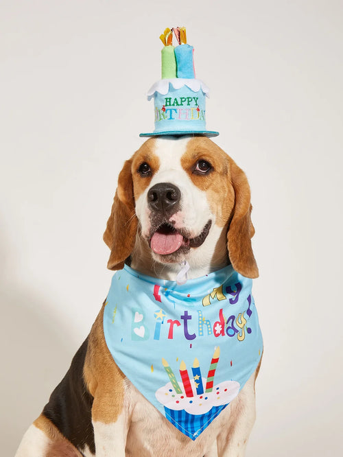 Dog birthday decorations, dog costumes, hats, bow ties, scarves, belly bands, party