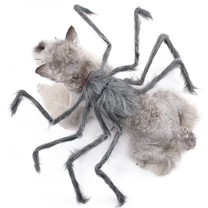 Halloween pet clothes big spider transforms into dog clothes