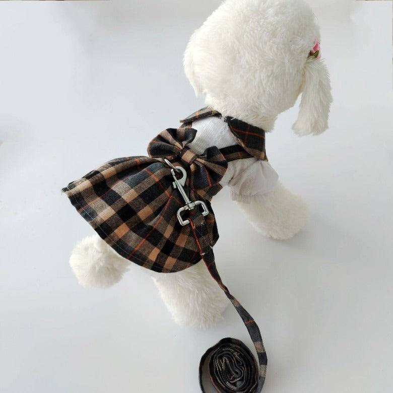 Tow rope, outing, dog clothes, pet clothing, dress