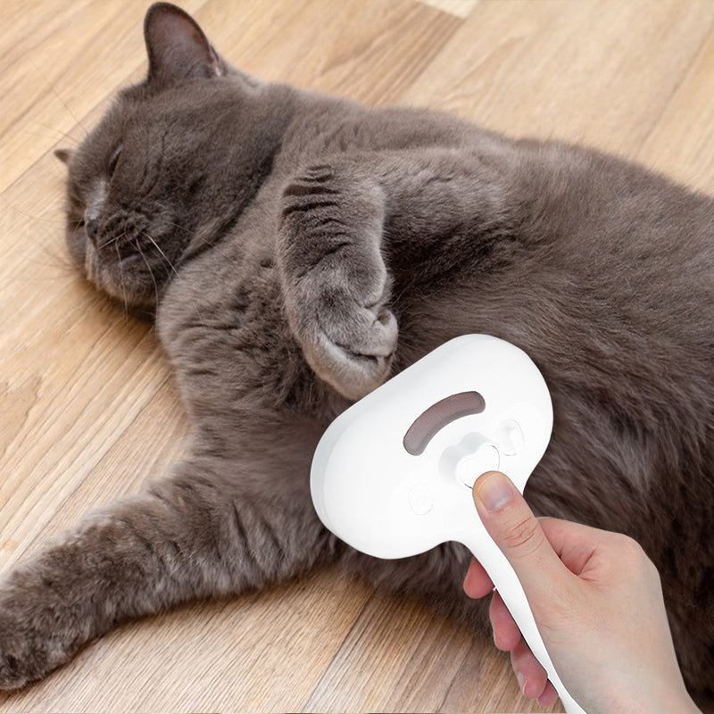 Upgraded Pet Electric Comb, Steam Hair Removal Cleaning Set