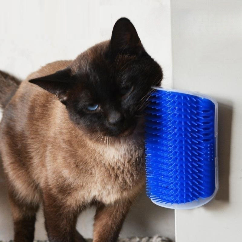 New four-color corner brush, comes with catnip powder, cat massage comb
